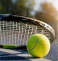 Tennis Sportunion Eidenberg